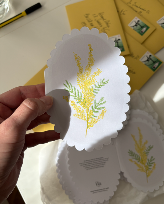 Mimose